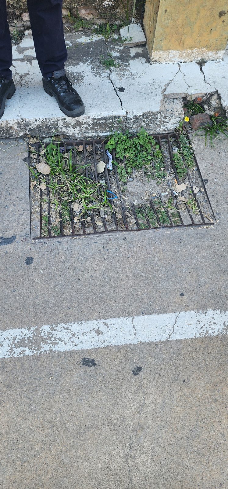 Situacion existente — situación existente